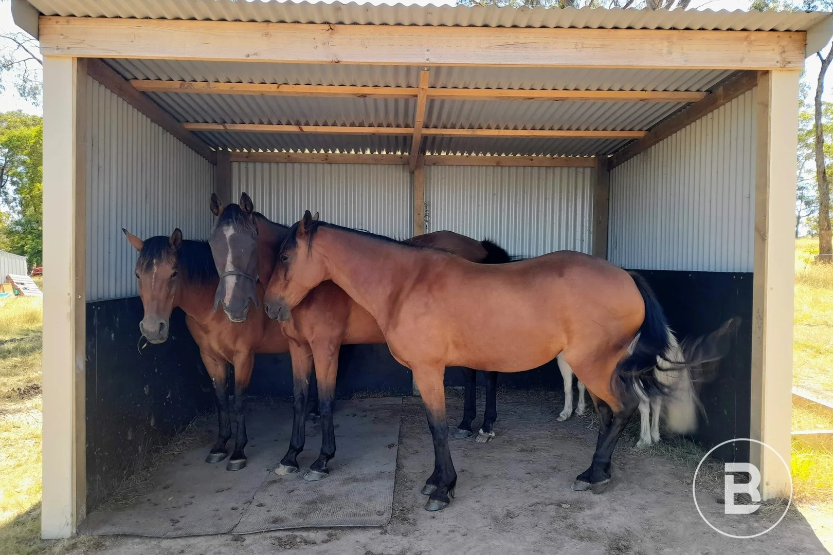 Additional image 8 of 722 A, B, Tannery Road, Snake Valley VIC 3351