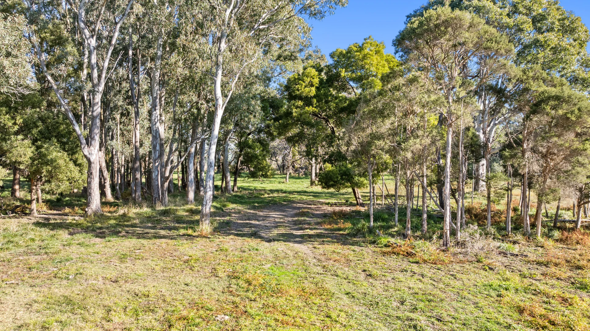 Additional image 26 of 596 Settlement Road, Kilmany VIC 3851
