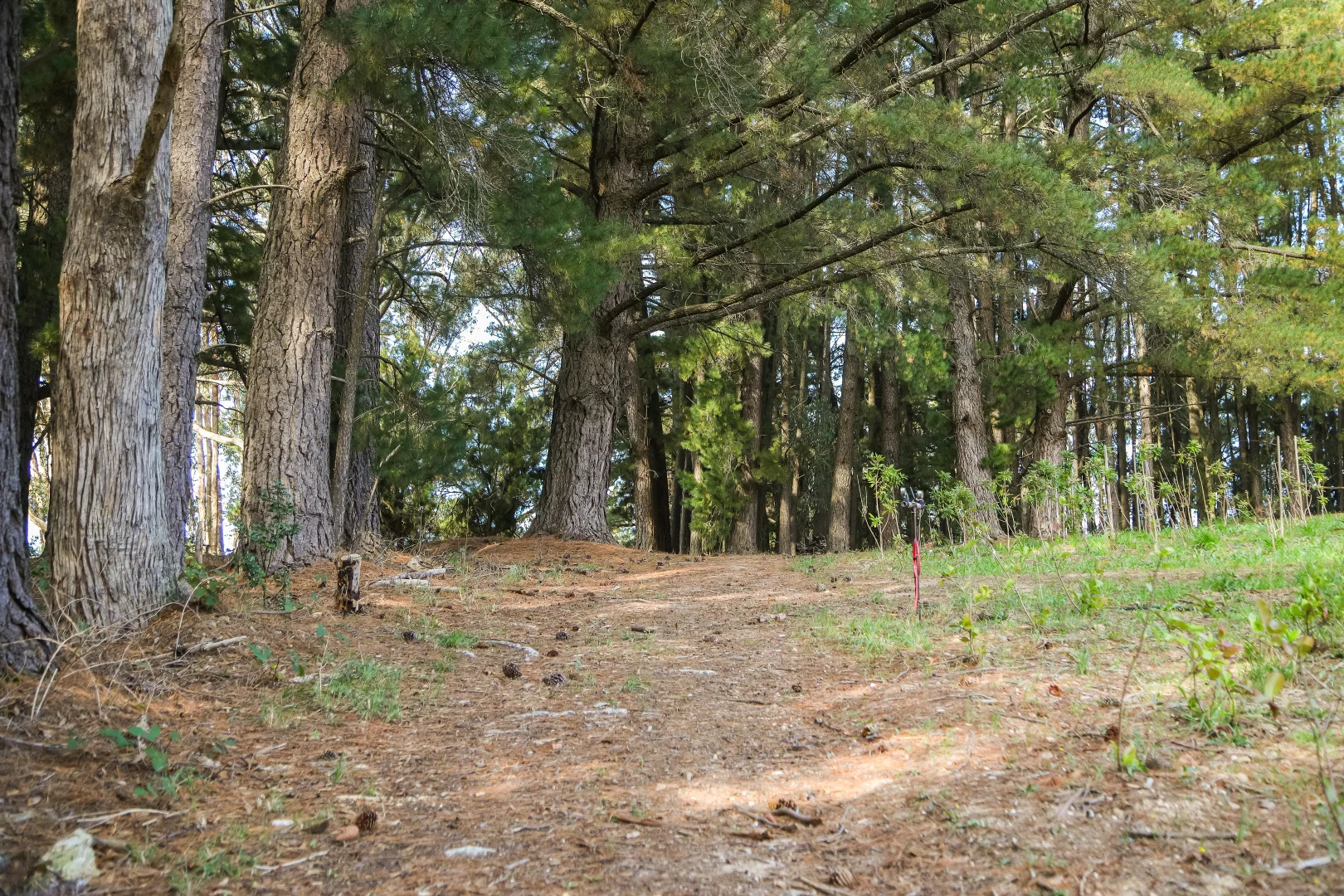 Additional image 26 of 290 Woods Hill Road, Ashton SA 5137