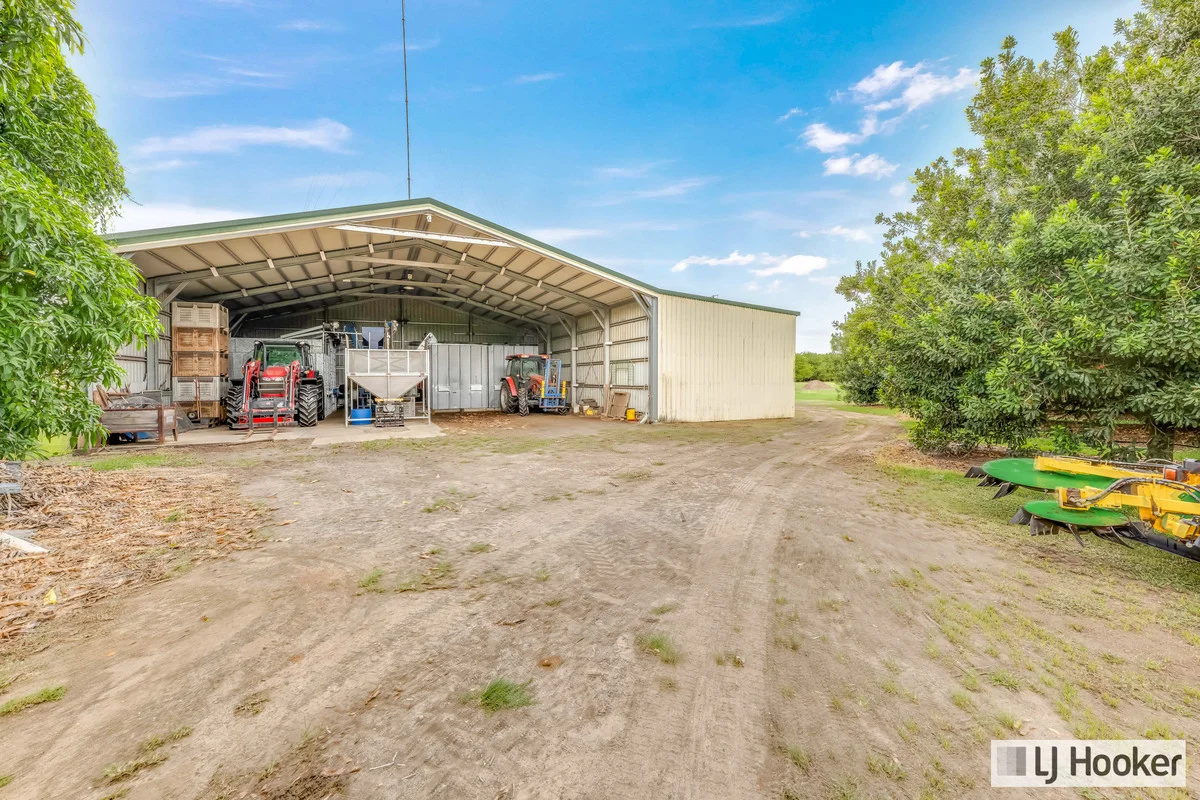 Additional image 16 of 214 Thomasens Road, Alloway QLD 4670