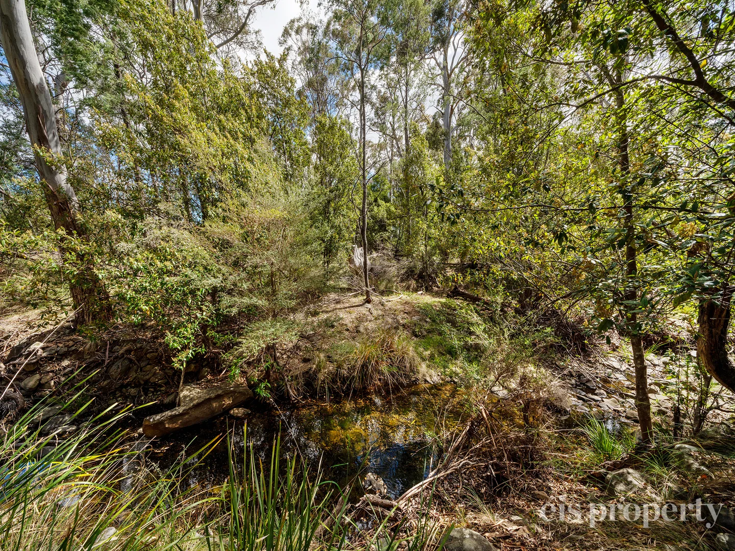 Additional image 6 of Lot 1/241 Chauncy Vale Road, Bagdad TAS 7030