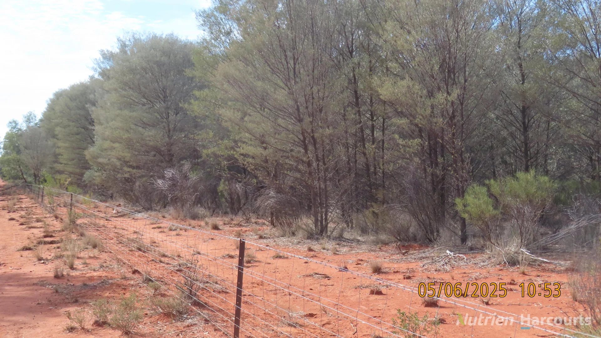 Additional image 11 of * Ryandale, Cobar NSW 2835