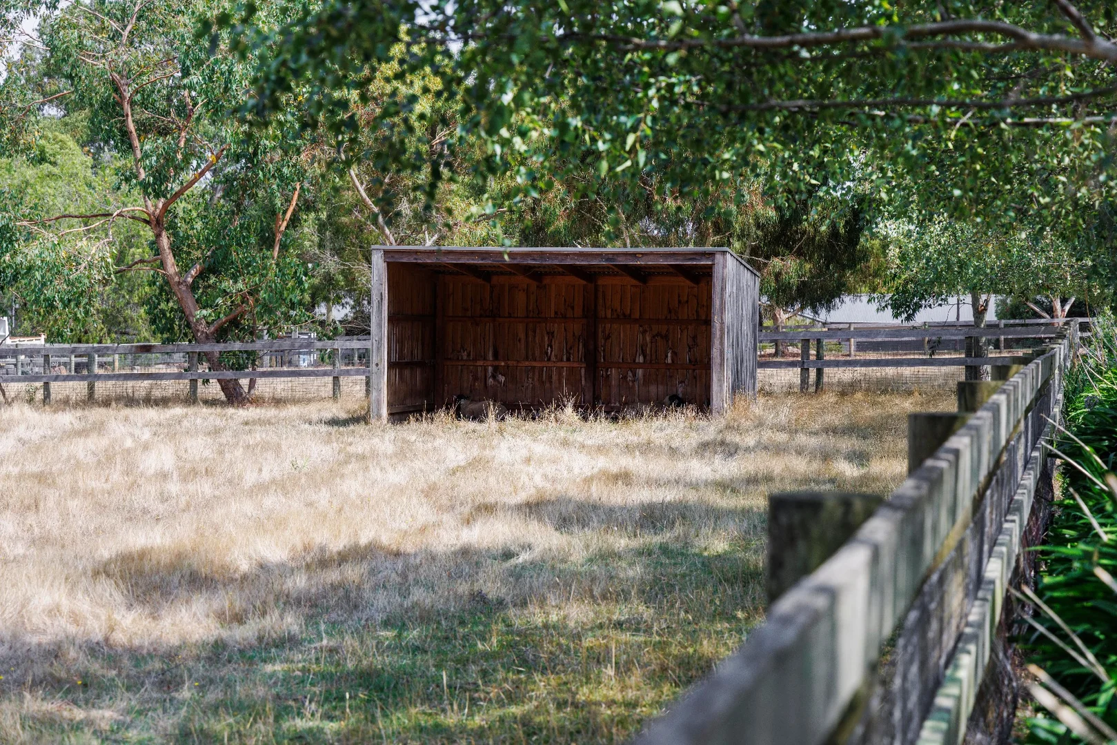 Additional image 24 of 345 Stumpy Gully Road, Balnarring VIC 3926