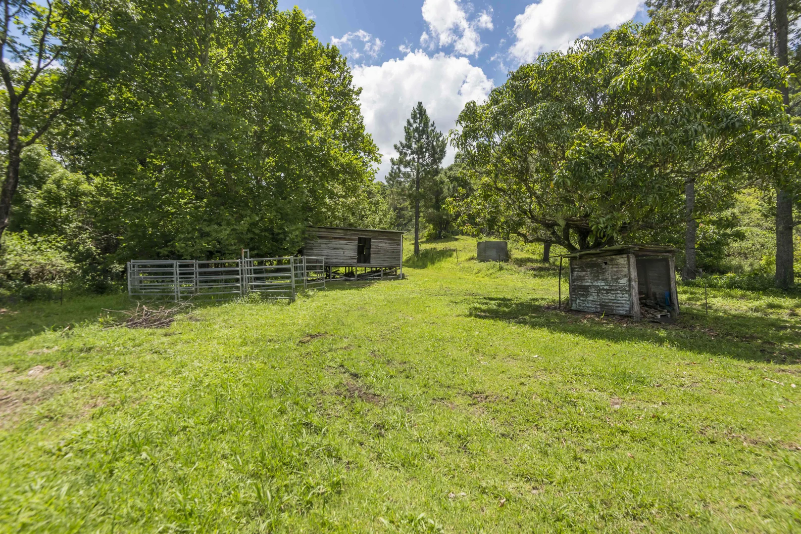 Additional image 11 of 353 Gungas Road, Nimbin NSW 2480