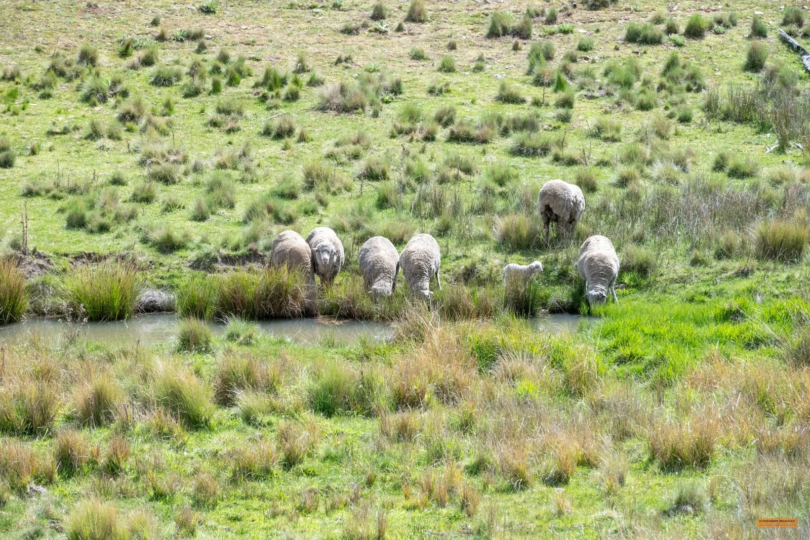 Additional image 6 of Lot 6 Avonside Road, Avonside NSW 2628