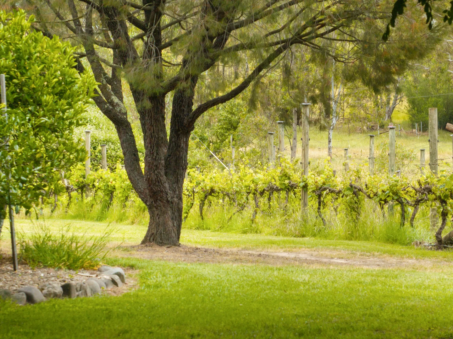 Additional image 19 of 210 Walshs Road, Goughs Bay VIC 3723