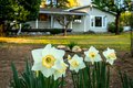 Additional image 46 of 13506 Squirrel Creek Rd, Grass Valley, CA, 95945