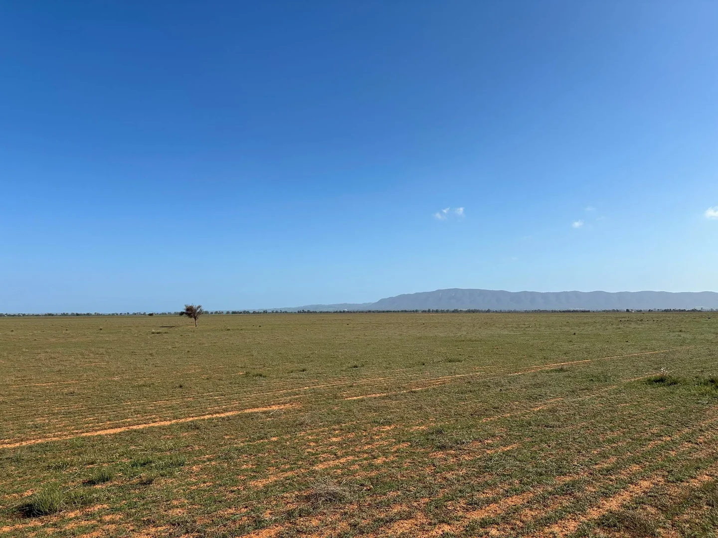 Additional image 18 of 'Daly's' Collins Road, Willowie SA 5431