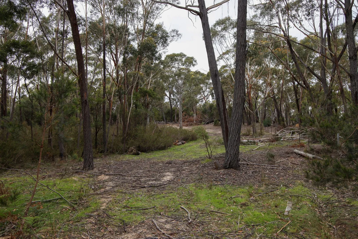 1887 Oallen Ford Road, Oallen NSW 2622