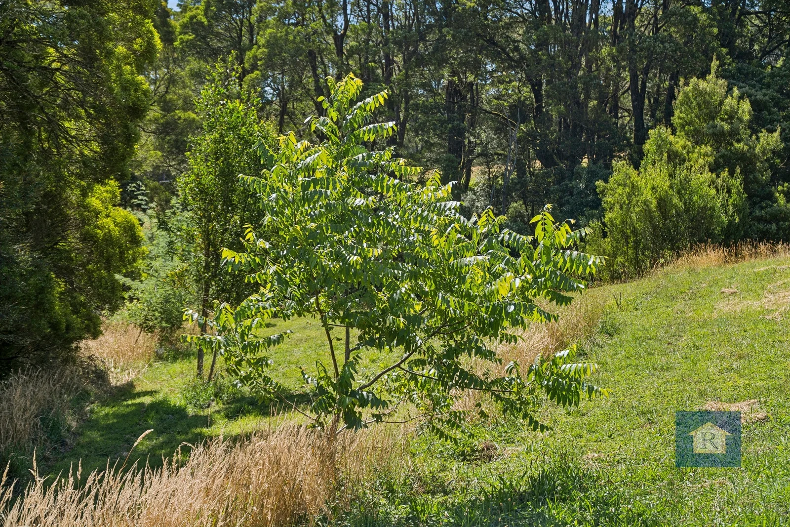 Additional image 15 of 22 Old Main Road, Beech Forest VIC 3237