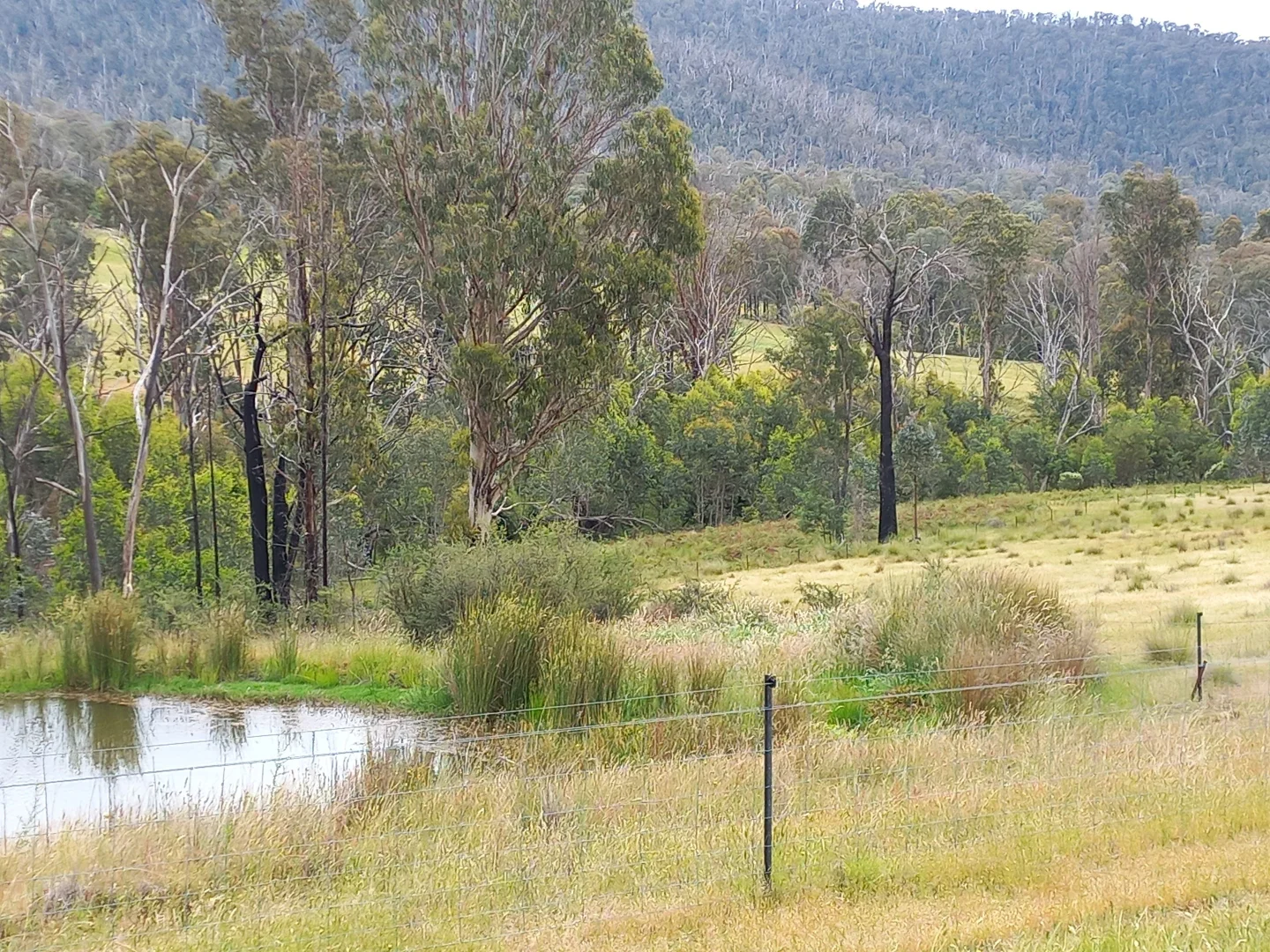 Additional image 6 of Lot 10/714 Yenschs Road, Lankeys Creek NSW 2644