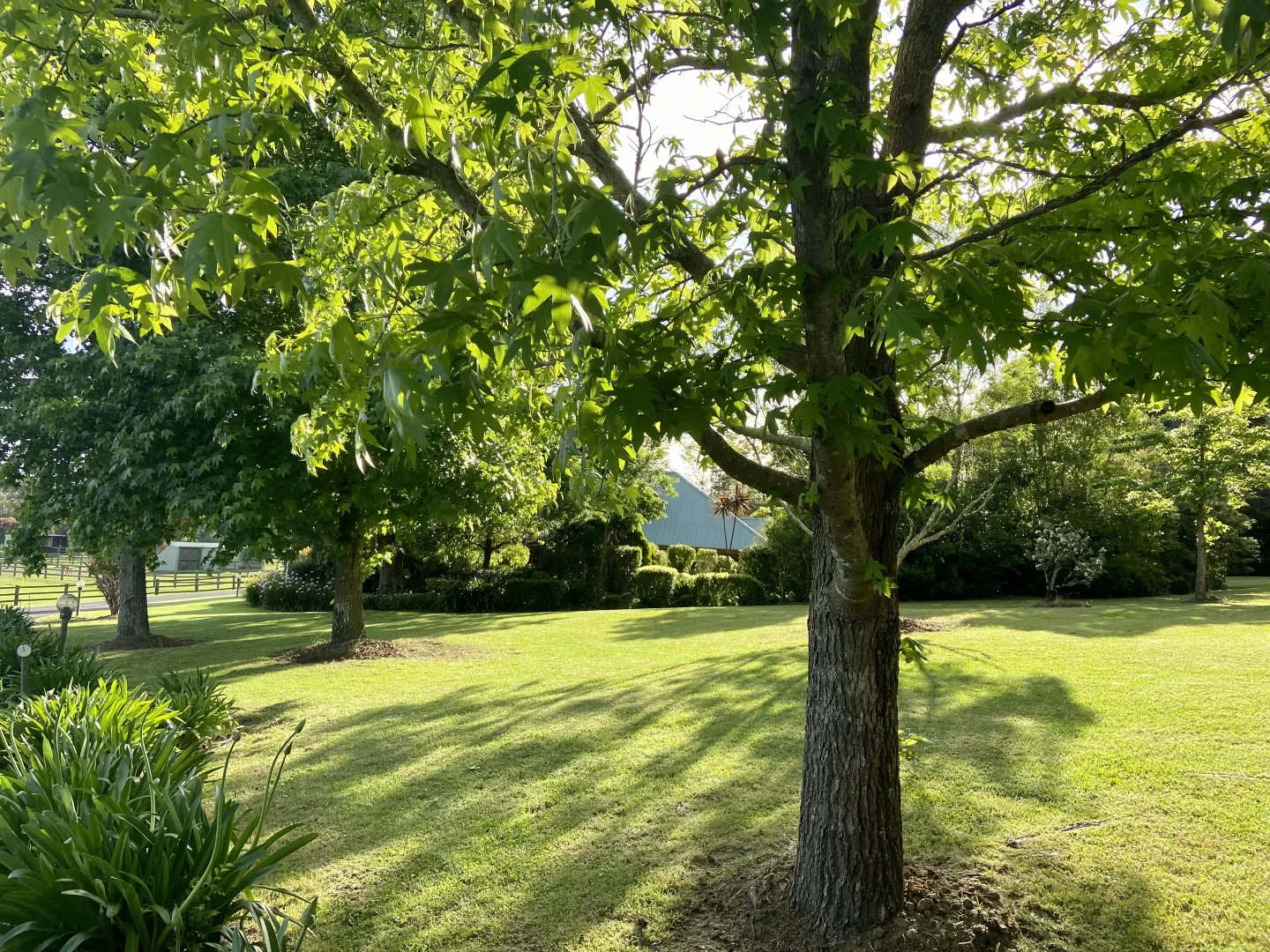 Additional image 36 of 71 Boxsells Lane, Meroo Meadow NSW 2540