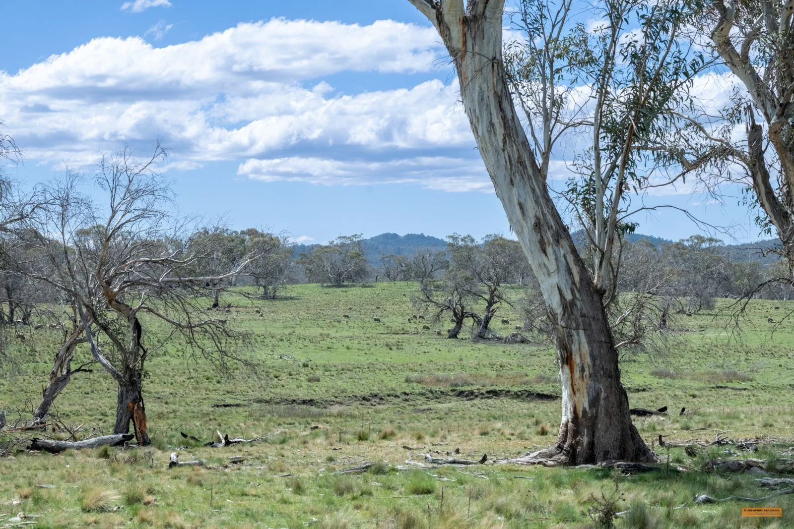 Additional image 4 of Lot 6 Avonside Road, Avonside NSW 2628