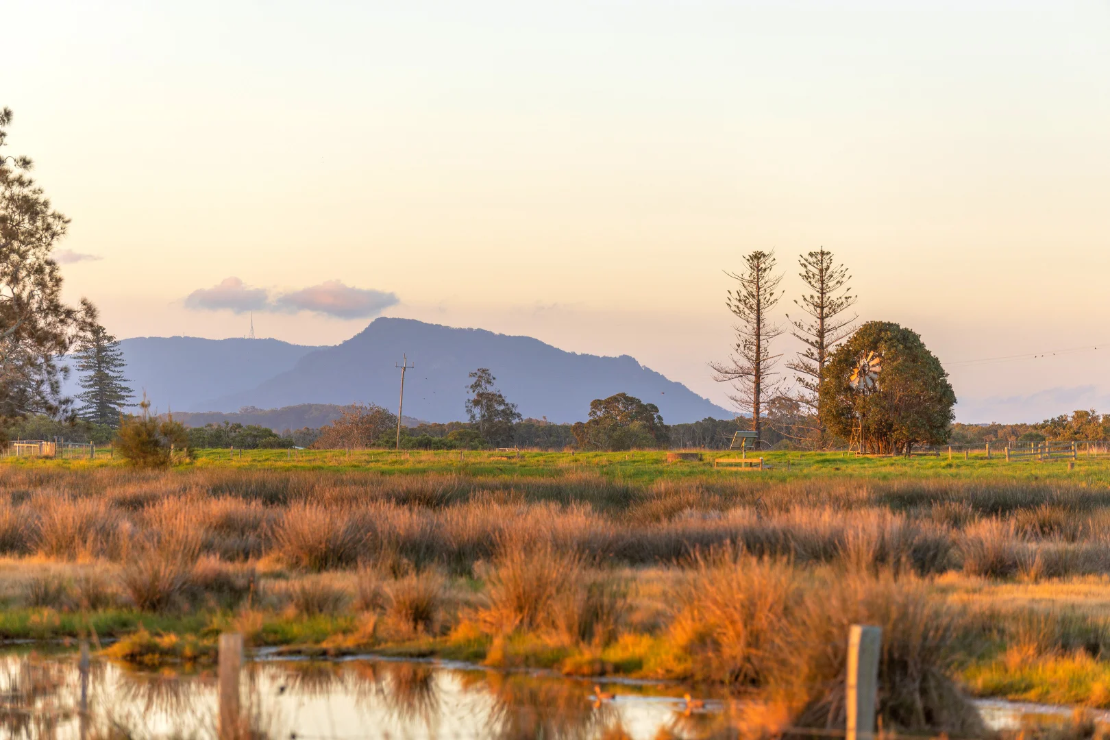 Additional image 8 of 67 Pelican Bay Road, Mitchells Island NSW 2430