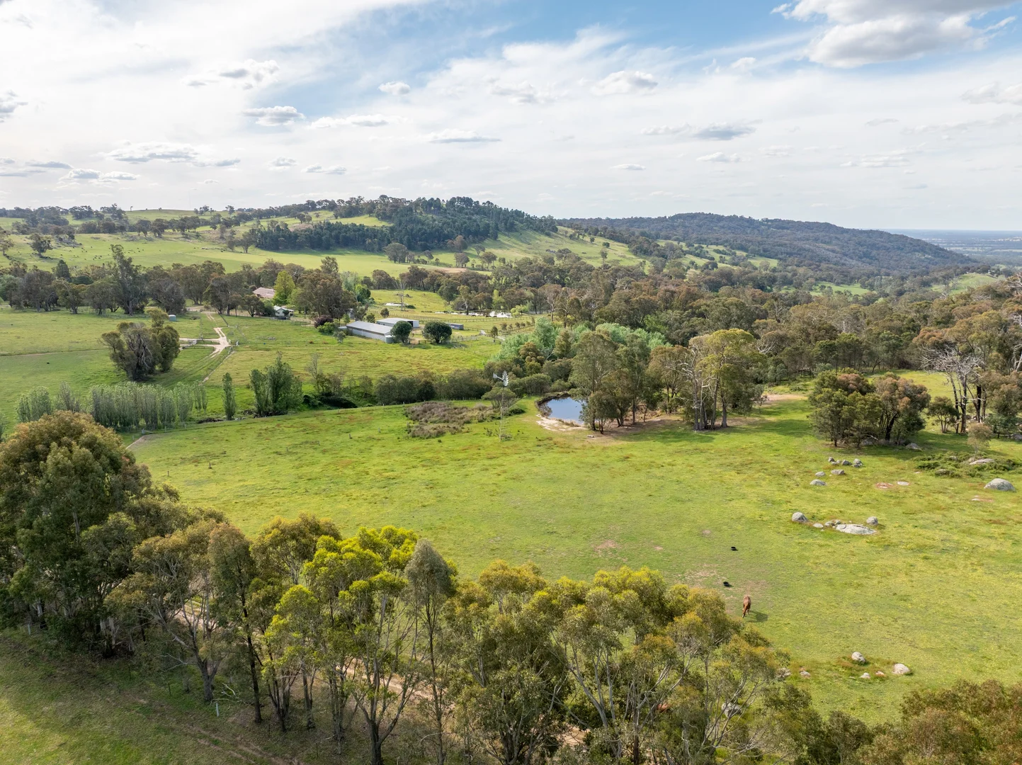 Additional image 20 of 933 Longwood-Ruffy Road, Ruffy VIC 3666