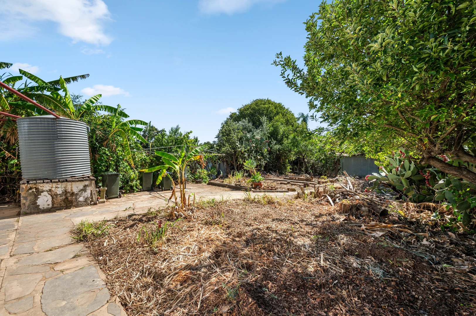 Additional image 12 of 84 Torrens Road, Renown Park SA 5008