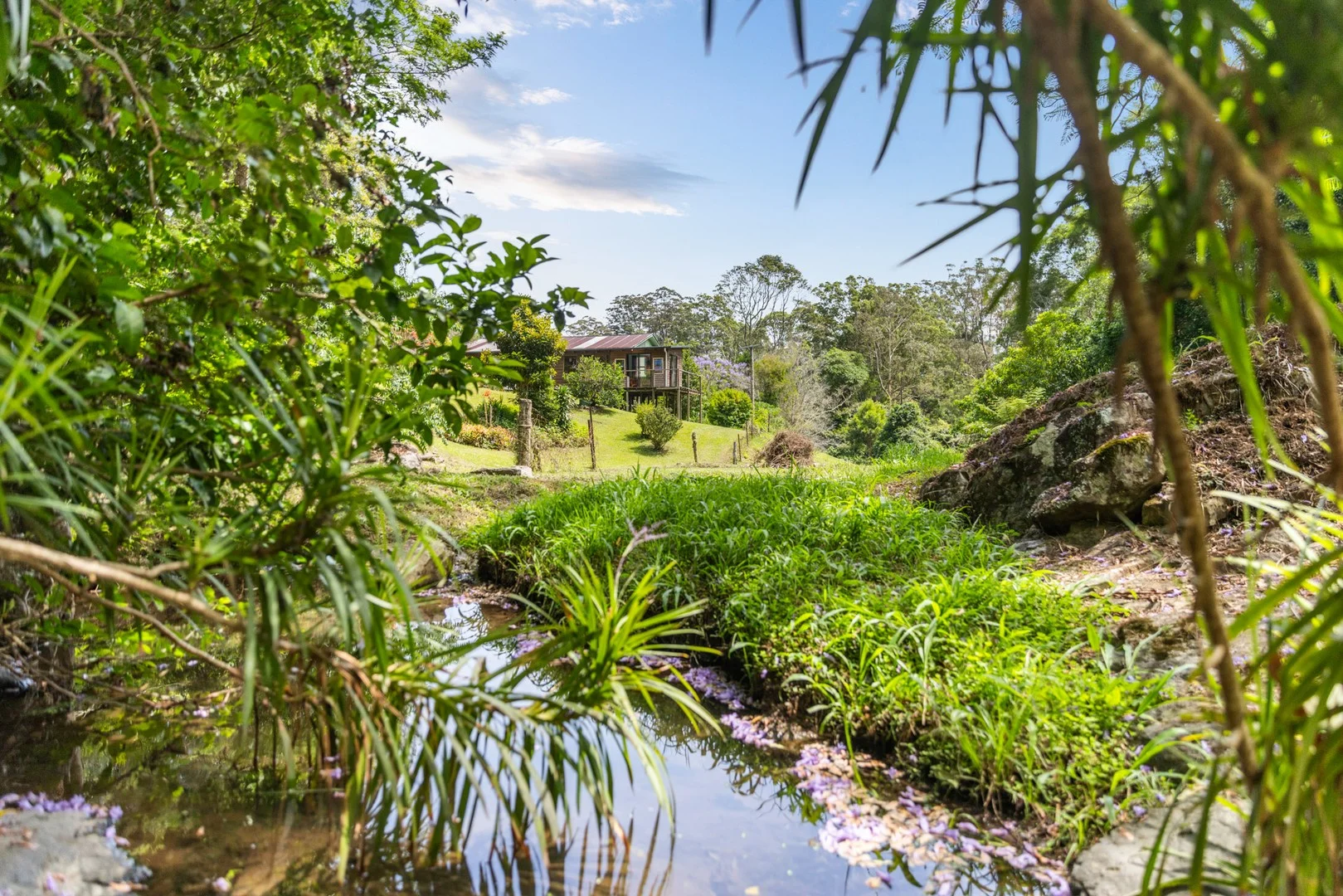 208 Fridays Creek Road, Upper Orara NSW 2450