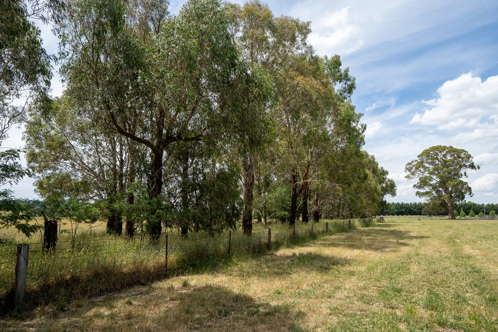 Additional image 25 of 56 Orchard Road, Springside NSW 2800