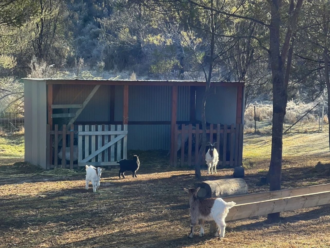 Additional image 22 of Tomboye NSW 2622