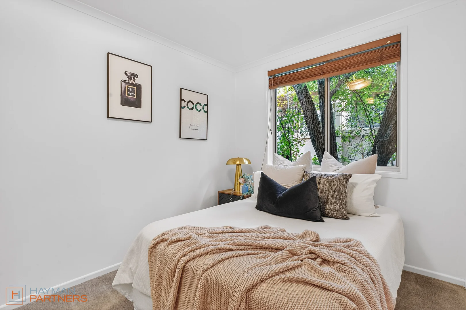 Additional image 15 of 6/49 Leahy Close, Narrabundah ACT 2604