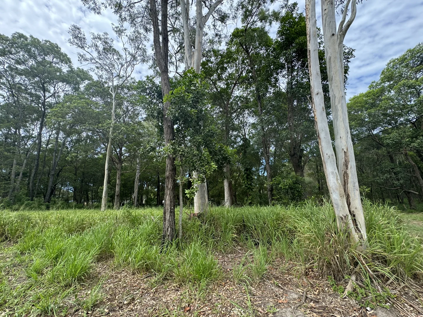 Additional image 7 of 19 Bilbungra Street, Russell Island QLD 4184