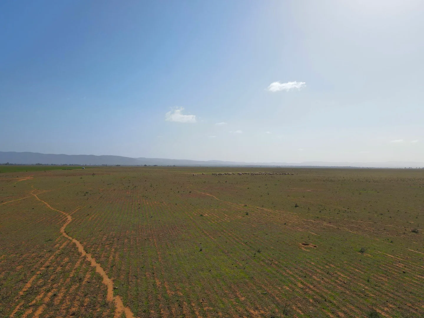 Additional image 13 of 'Daly's' Collins Road, Willowie SA 5431