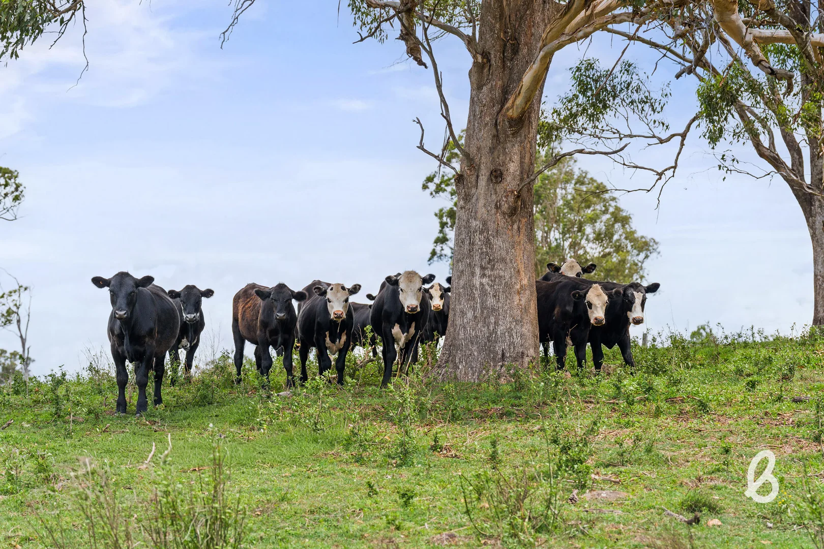 Additional image 56 of 88 Glenalister Road, Stanhope NSW 2335