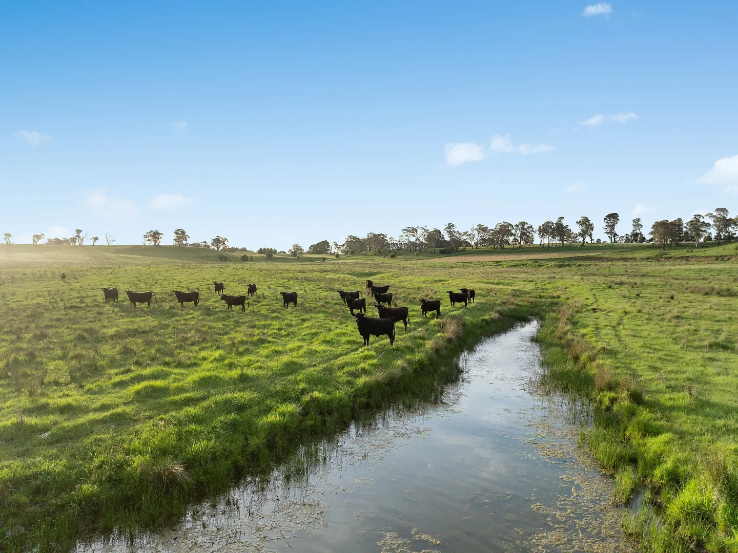 Additional image 39 of 142 Beasley Road, Orange NSW 2800