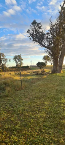 Additional image 2 of 15 Newlyns Place, Frogs Hollow NSW 2550