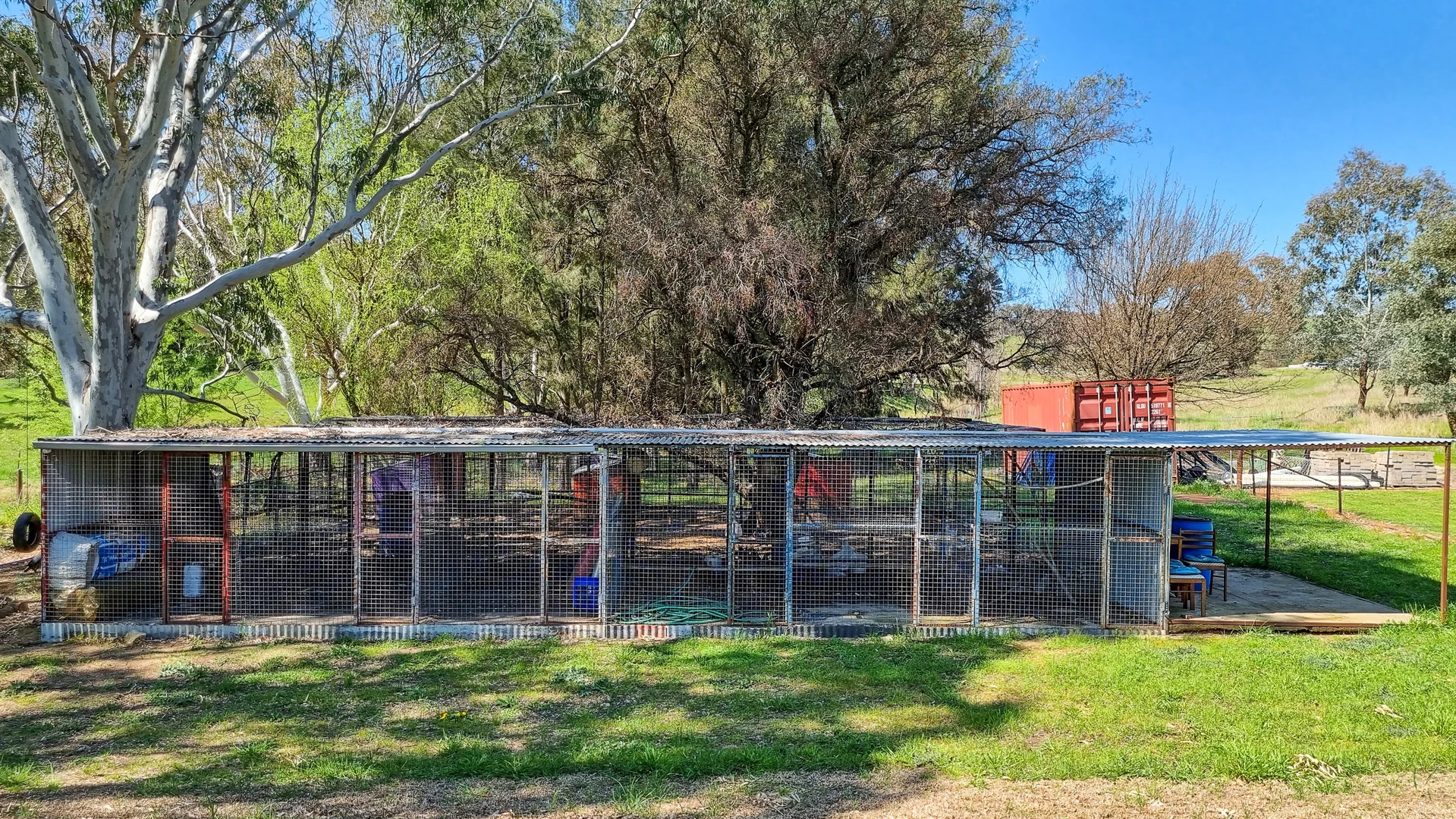 Additional image 13 of Murringo NSW 2586