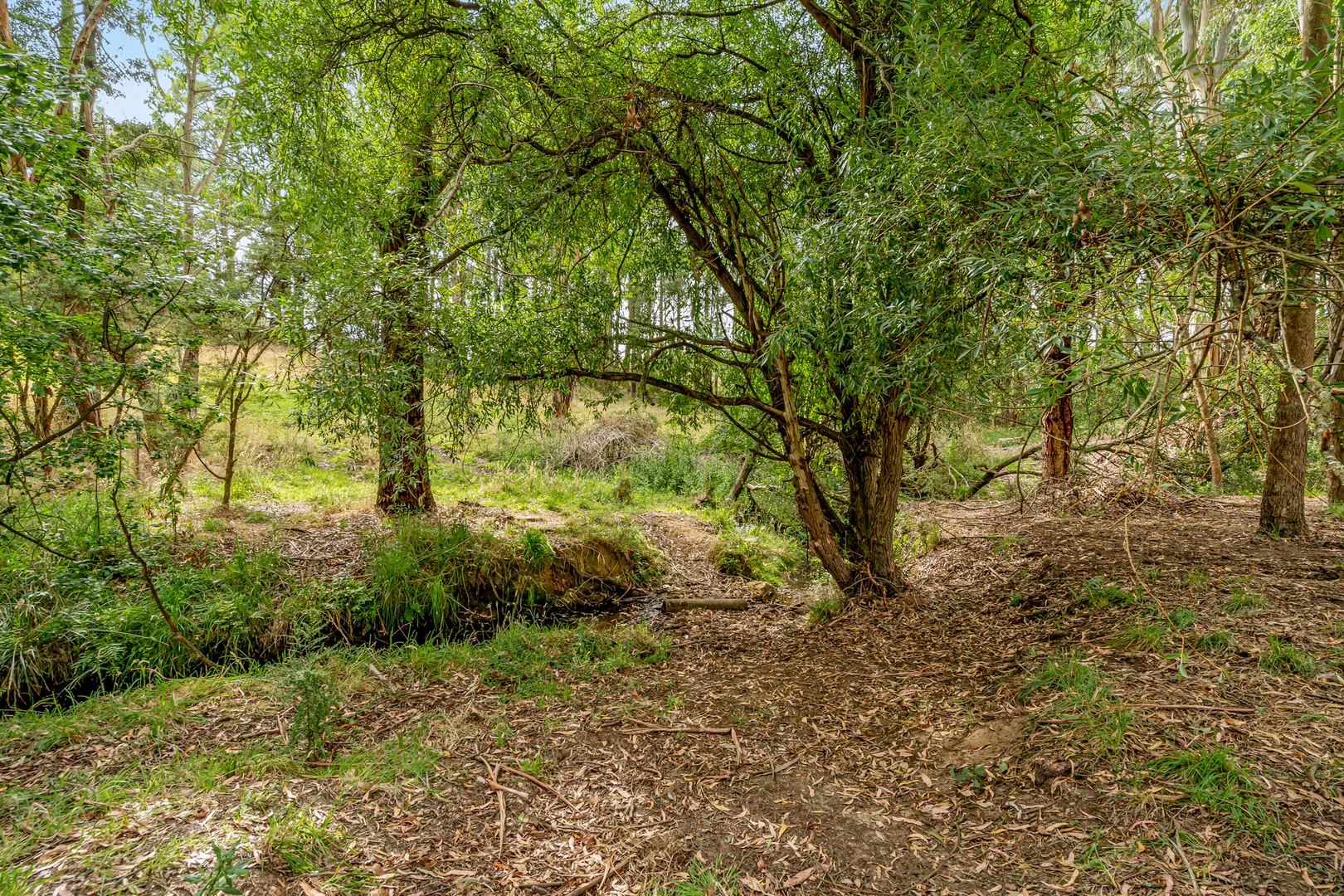 Additional image 22 of 749 Coradjil Road, Simpson VIC 3266