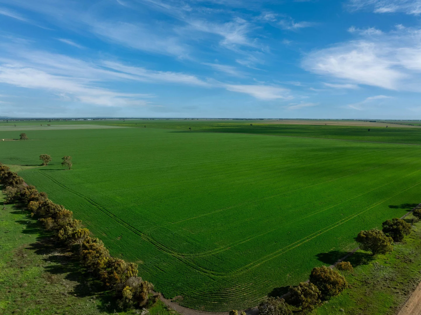 Additional image 4 of Jung VIC 3401