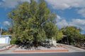 Additional image 37 of 6113 Summerset Ln, Citrus Heights, CA, 95621