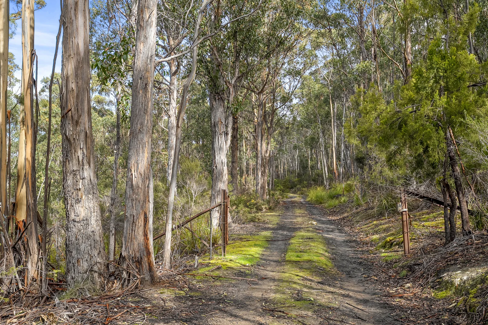 Additional image 6 of Lot 1 Longmans Road, Snug TAS 7054