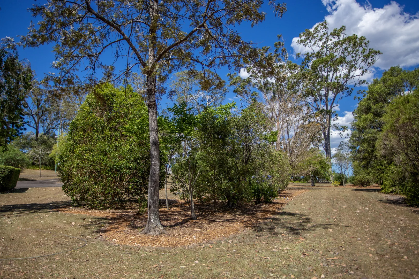 Additional image 22 of 77 Skyline Drive,, Wingham NSW 2429