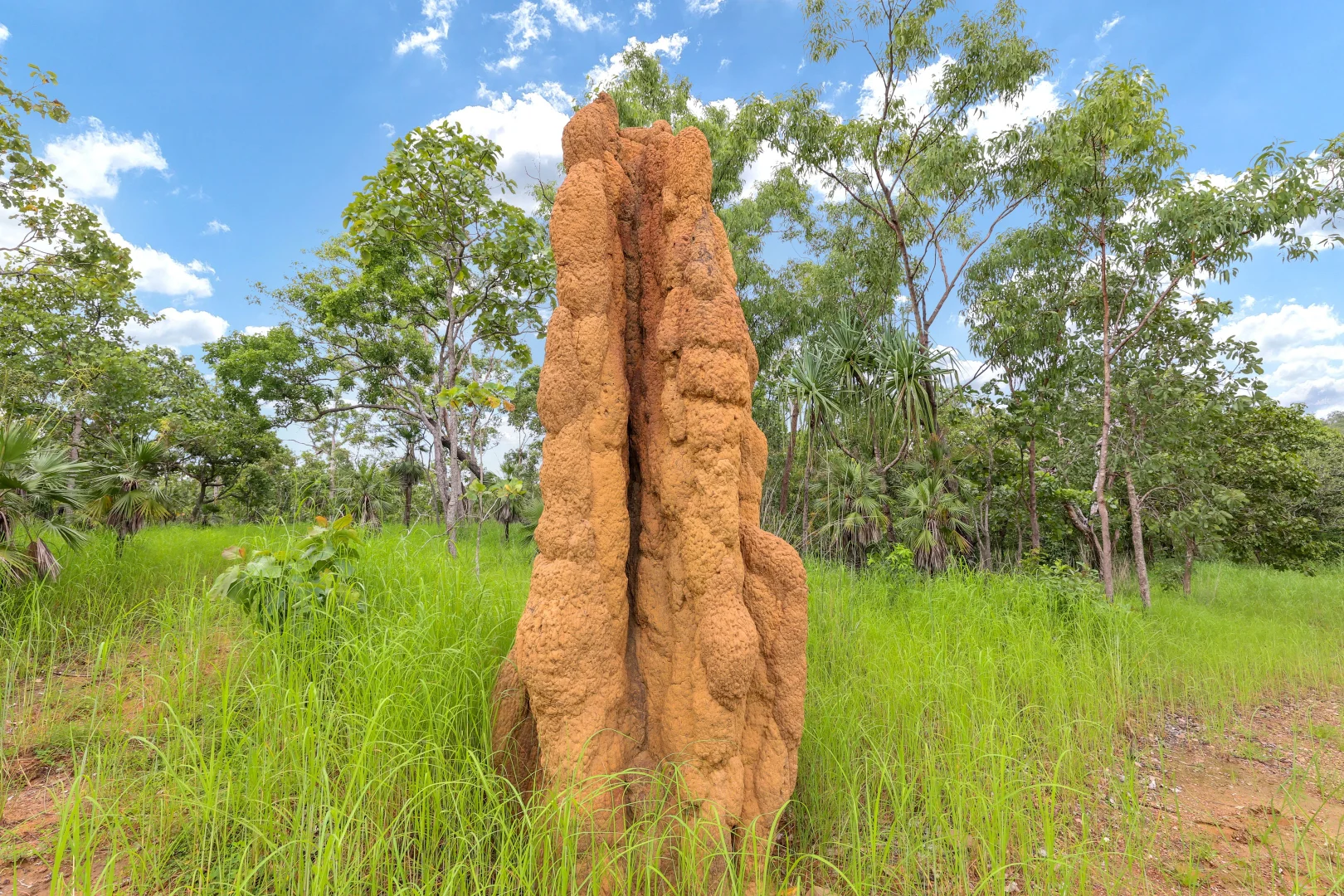 Additional image 20 of 350 Daly River Road, Robin Falls NT 0822