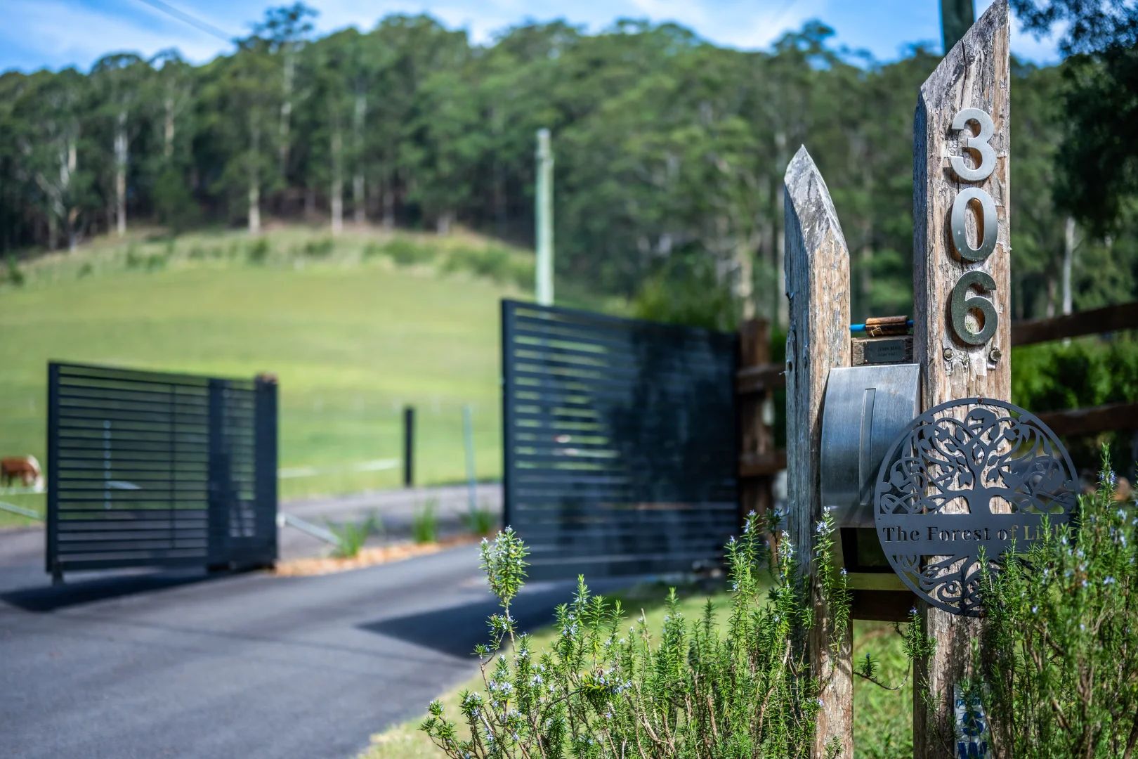 Additional image 30 of 306 Oak Road, Matcham NSW 2250