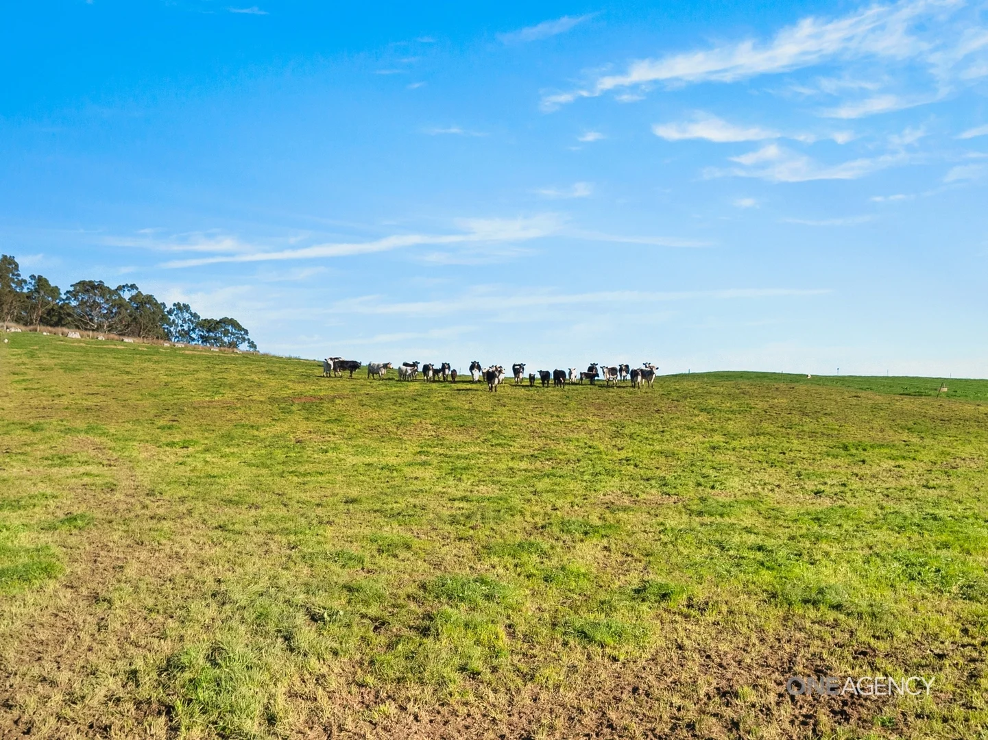 Additional image 19 of 1089 Trowutta Road, Edith Creek TAS 7330