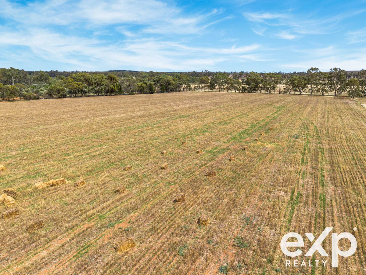 Additional image 8 of Lot 87 Blocks Road, Riverton SA 5412