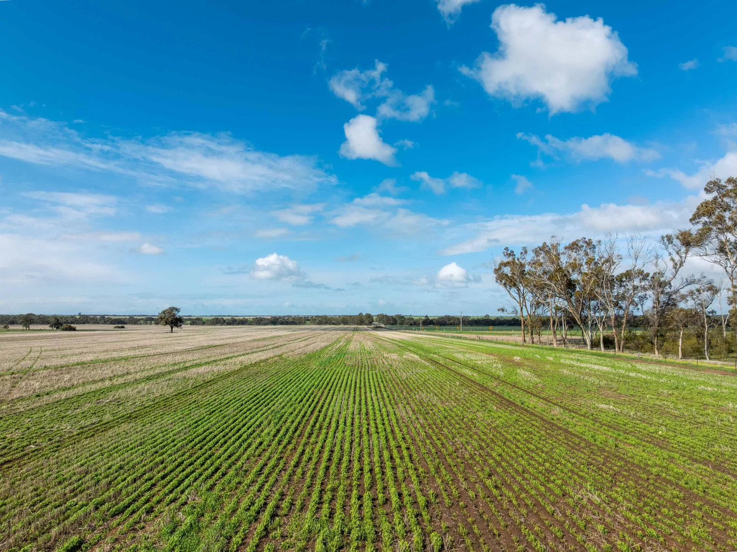 Additional image 6 of Jung VIC 3401