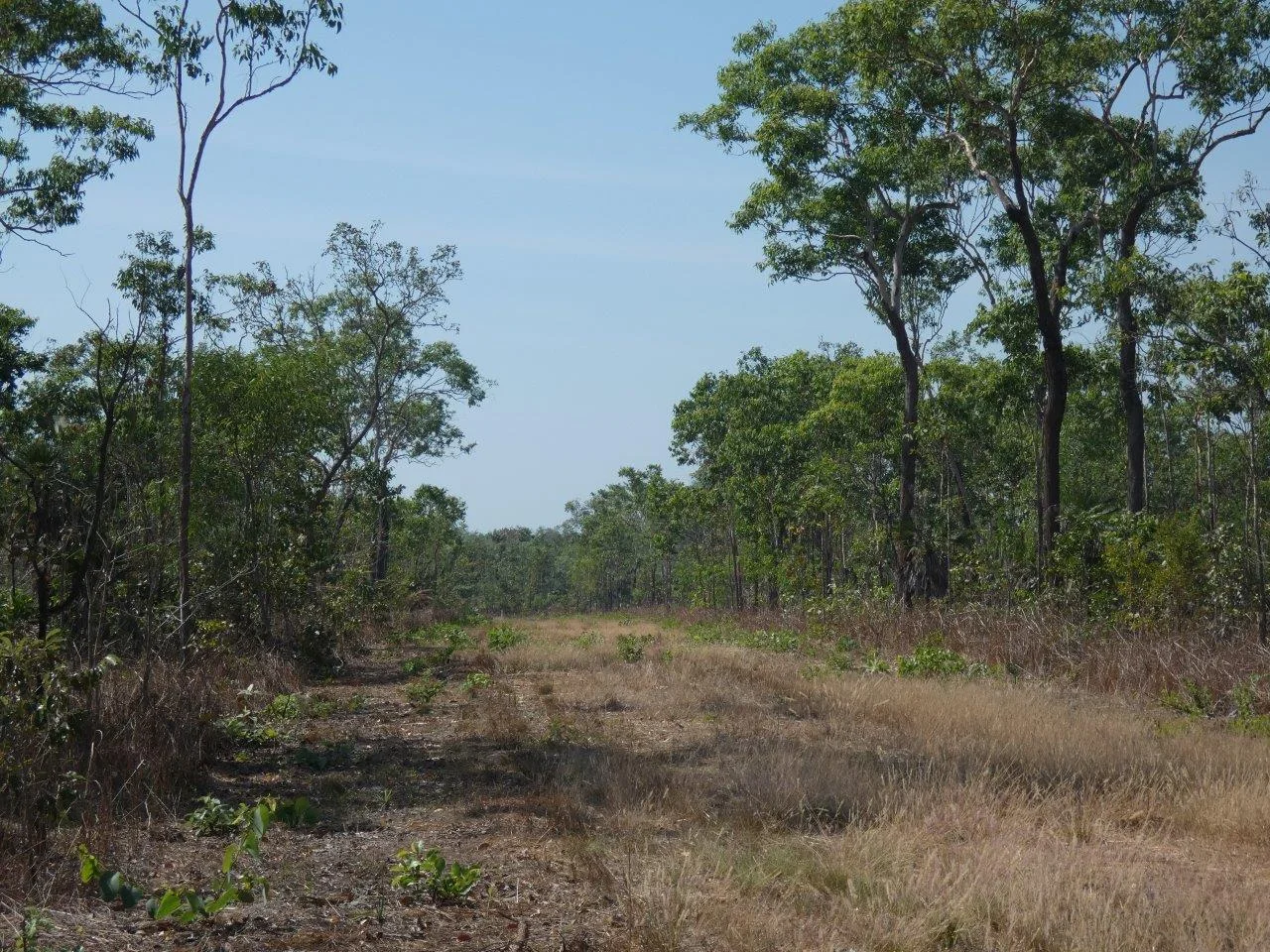 108 Mielang Road, Blackmore NT 0822