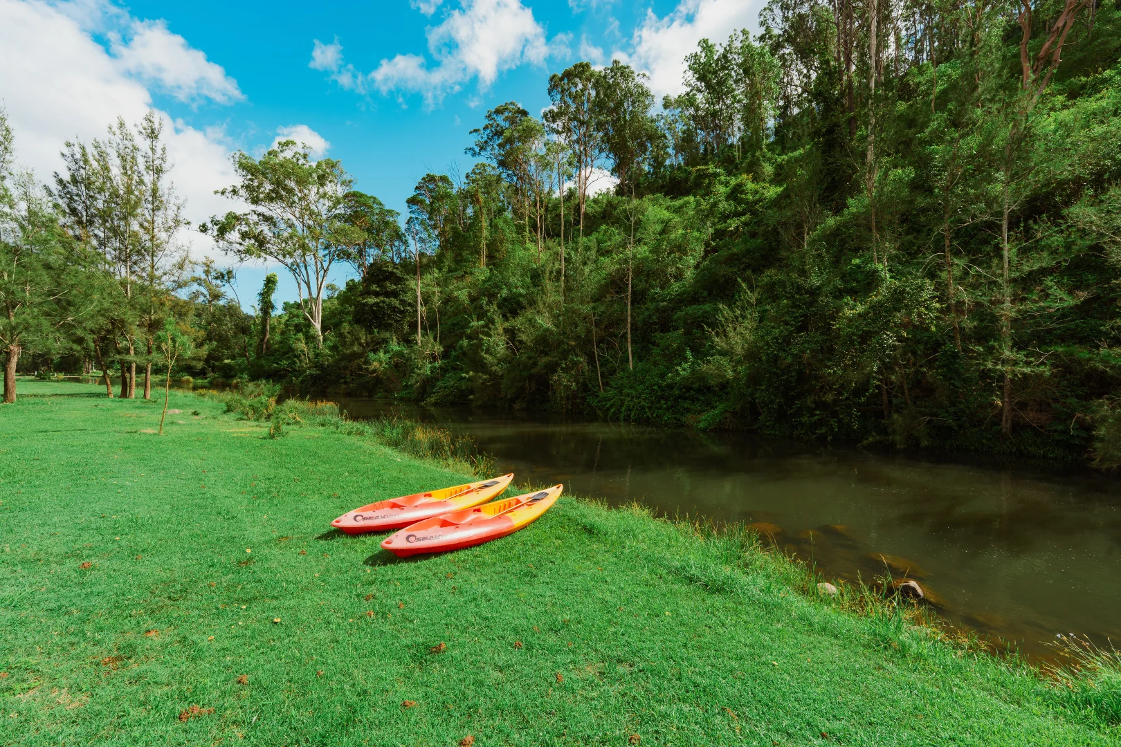 Additional image 26 of 466 Sarabah Road, Sarabah QLD 4275