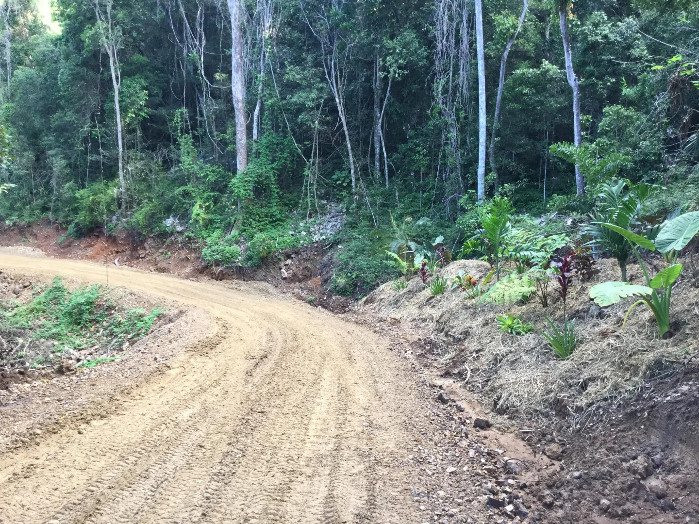 Additional image 10 of 1243 Yakapari-Seaforth Road, Mount Jukes QLD 4740