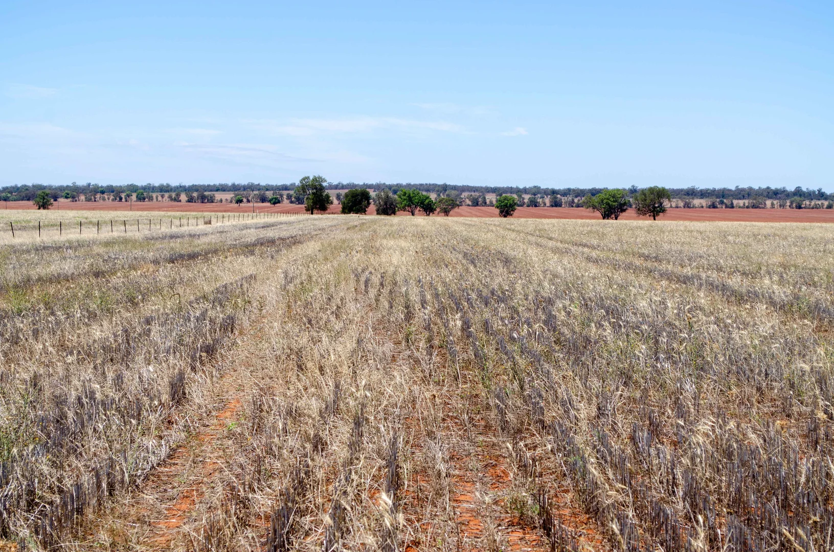 Additional image 12 of 489 West Milby Lane, Tullibigeal NSW 2669