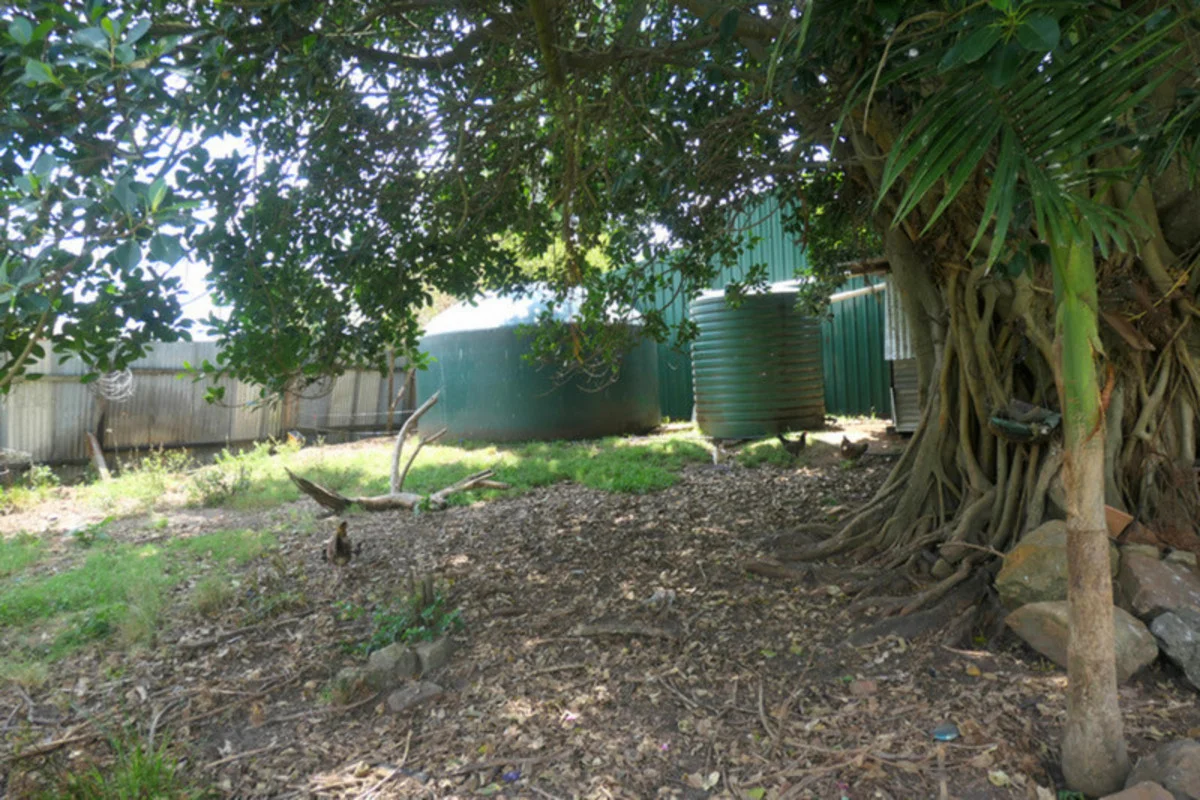 Additional image 17 of 12 Lyons Street, Rappville NSW 2469