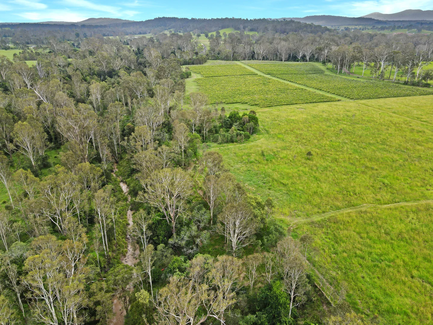Additional image 11 of 126/288 Blowers Road, Munna Creek QLD 4570
