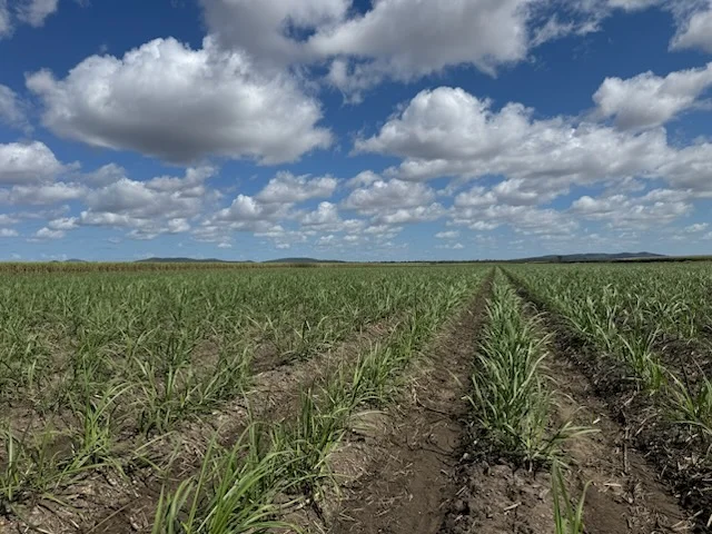 Additional image 28 of 218 Oats Road, Fredericksfield QLD 4806