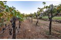 Additional image 78 of 22801 Hidden Ranch Rd, Auburn, CA, 95602