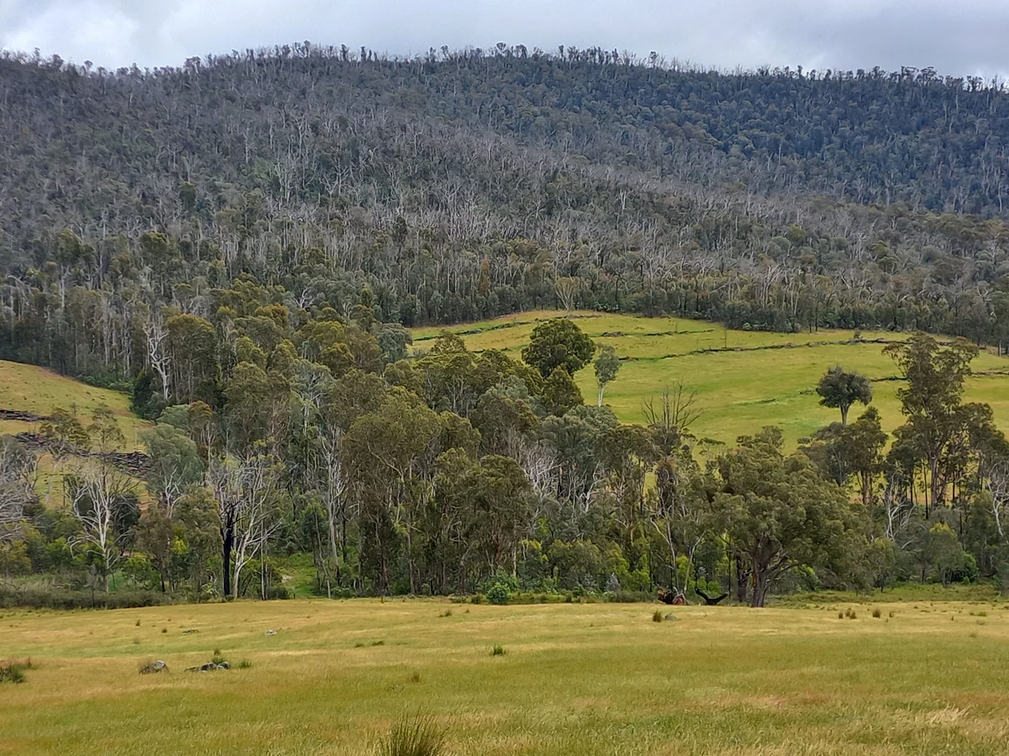 Additional image 12 of Lot 10/714 Yenschs Road, Lankeys Creek NSW 2644