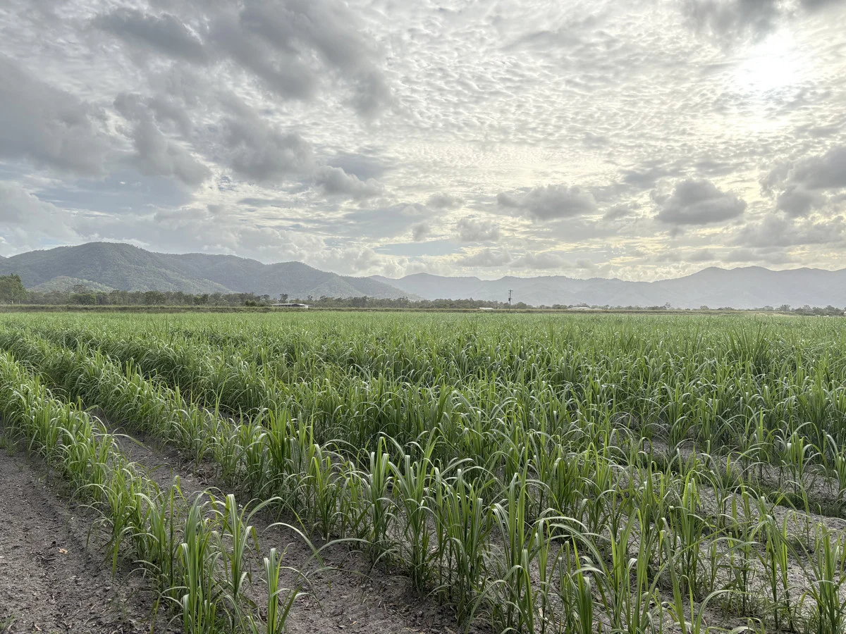 Additional image 10 of 2 Oakenden Sarina Road, Oakenden QLD 4741